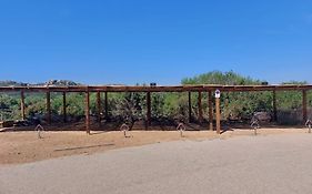 Nuovi Appartamenti Tri E Bilocali In Residence Con Piscina A Porto Cervo 800Mt Mare